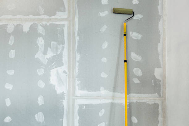 Best Water-Damaged Drywall Repair  in Lebanon, IL